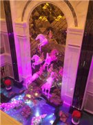 南宁五星级酒店夜总会